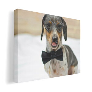 A[gpl G G  IׂTCY 210×297 mm A4 _  ʐ^ tHg CeA  018326  ʐ^