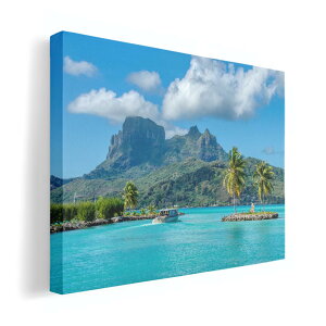 A[gpl G G  IׂTCY 210×297 mm A4 _  ʐ^ tHg CeA  018342 C R ʐ^ 