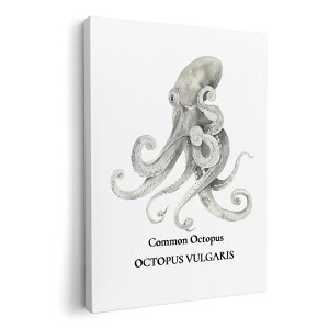 A[gpl G G  IׂTCY 210×297 mm A4 _  ʐ^ tHg CeA  019730 C̐ ^R octopus