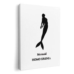 A[gpl G G  IׂTCY 210×297 mm A4 _  ʐ^ tHg CeA  019739 C̐ l Mermaid