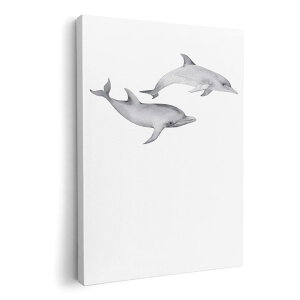 A[gpl G G  IׂTCY 210×297 mm A4 _  ʐ^ tHg CeA  019927 C̐ 邩