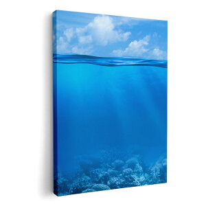 A[gpl G G  IׂTCY 210×148 mm A5 _  ʐ^ tHg CeA  000071 C@@iF