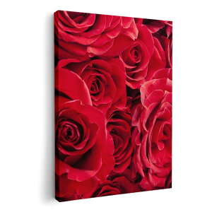 A[gpl G G  IׂTCY 210×148 mm A5 _  ʐ^ tHg CeA  000124 o@ԁ@ԑ