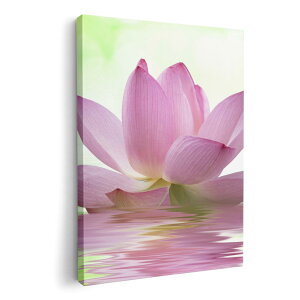 A[gpl G G  IׂTCY 210×148 mm A5 _  ʐ^ tHg CeA  000147 @@ʁ@