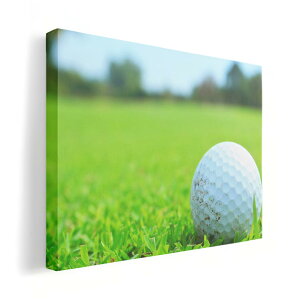 A[gpl G G  IׂTCY 210×148 mm A5 _  ʐ^ tHg CeA  000255 St@Ő@X|[c