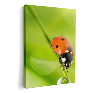 A[gpl G G  IׂTCY 210×148 mm A5 _  ʐ^ tHg CeA  000820 ĂƂ@
