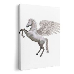 A[gpl G G  IׂTCY 210×148 mm A5 _  ʐ^ tHg CeA  000880 yKTX@n