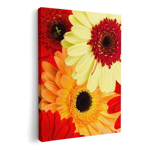 �A�[�g�p�l�� �G �G�� ���� �I�ׂ�T�C�Y 210×148 mm A5 ���_�� ���� �ʐ^ �t�H�g �C���e���A ������� 000990 �ԁ@�K�[�x��