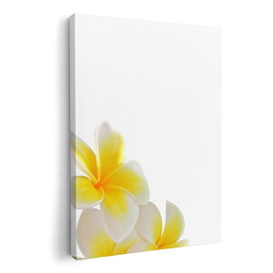 A[gpl G G  IׂTCY 210×148 mm A5 _  ʐ^ tHg CeA  001027 ԁ@vA