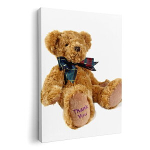 A[gpl G G  IׂTCY 210×148 mm A5 _  ʐ^ tHg CeA  001105 eBfBxA@N}