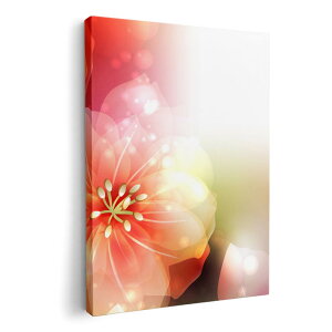 A[gpl G G  IׂTCY 210×148 mm A5 _  ʐ^ tHg CeA  001990 ԁ@t[@Jt