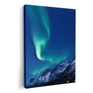 A[gpl G G  IׂTCY 210×148 mm A5 _  ʐ^ tHg CeA  002450 I[@iF@i