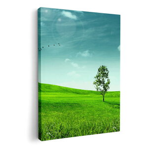 A[gpl G G  IׂTCY 210×148 mm A5 _  ʐ^ tHg CeA  002526 iF@i@ʐ^