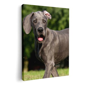 A[gpl G G  IׂTCY 210×148 mm A5 _  ʐ^ tHg CeA  002584 @@ʐ^