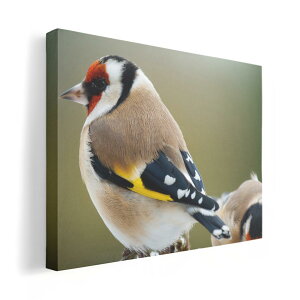 A[gpl G G  IׂTCY 210×148 mm A5 _  ʐ^ tHg CeA  002605 @@ʐ^