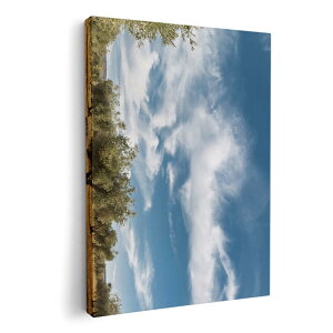 A[gpl G G  IׂTCY 210×148 mm A5 _  ʐ^ tHg CeA  002623 @iF@ʐ^