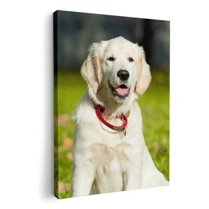 A[gpl G G  IׂTCY 210×148 mm A5 _  ʐ^ tHg CeA  002665 @@ʐ^