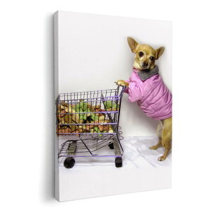 A[gpl G G  IׂTCY 210×148 mm A5 _  ʐ^ tHg CeA  002736 @@ʐ^