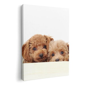 A[gpl G G  IׂTCY 210×148 mm A5 _  ʐ^ tHg CeA  002770 @@ʐ^