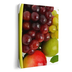 A[gpl G G  IׂTCY 210×148 mm A5 _  ʐ^ tHg CeA  002824 ʕ@Jt