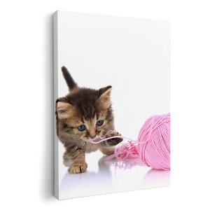 A[gpl G G  IׂTCY 210×148 mm A5 _  ʐ^ tHg CeA  002881 L@@ʐ^