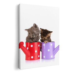 A[gpl G G  IׂTCY 210×148 mm A5 _  ʐ^ tHg CeA  002882 L@@ʐ^