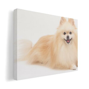 A[gpl G G  IׂTCY 210×148 mm A5 _  ʐ^ tHg CeA  002911 @@ʐ^