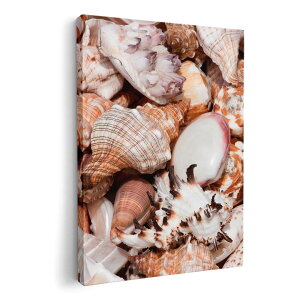 A[gpl G G  IׂTCY 210×148 mm A5 _  ʐ^ tHg CeA  002925 C@Lk@ʐ^