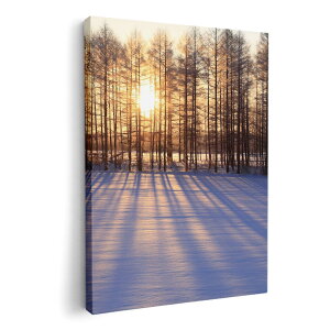 A[gpl G G  IׂTCY 210×148 mm A5 _  ʐ^ tHg CeA  003272 ʐ^@iF@i