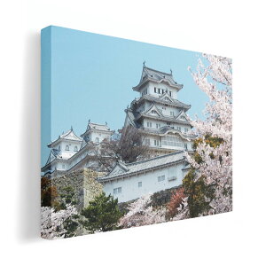 A[gpl G G  IׂTCY 210×148 mm A5 _  ʐ^ tHg CeA  003277 ʐ^@iF@i