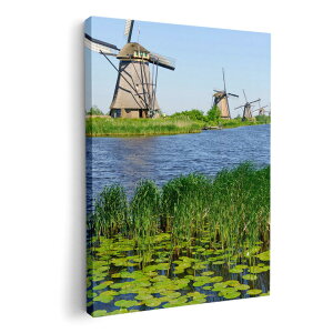 A[gpl G G  IׂTCY 210×148 mm A5 _  ʐ^ tHg CeA  003280 O@ʐ^@iF@i