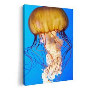 アートパネル 絵 絵画 飾り 選べるサイズ 210×148 mm A5 モダン 玄関 写真 フォト インテリア おしゃれ 003338 くらげ 海 写真