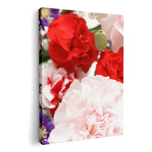 A[gpl G G  IׂTCY 210×148 mm A5 _  ʐ^ tHg CeA  003429 ԁ@Jt@ʐ^