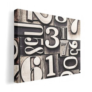 A[gpl G G  IׂTCY 210×148 mm A5 _  ʐ^ tHg CeA  003456 @g