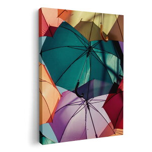 A[gpl G G  IׂTCY 210×148 mm A5 _  ʐ^ tHg CeA  003593 P@ʐ^@Jt