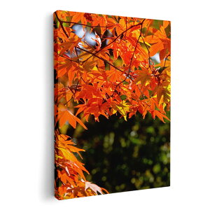 A[gpl G G  IׂTCY 210×148 mm A5 _  ʐ^ tHg CeA  004615 gt@H@i