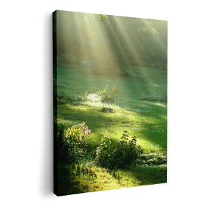 A[gpl G G  IׂTCY 210×148 mm A5 _  ʐ^ tHg CeA  004644 X@ʐ^@iF