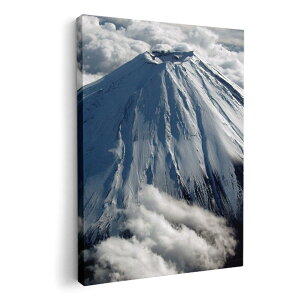 A[gpl G G  IׂTCY 210×148 mm A5 _  ʐ^ tHg CeA  004735 ʐ^@iF@i