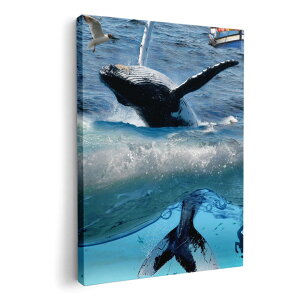 A[gpl G G  IׂTCY 210×148 mm A5 _  ʐ^ tHg CeA  004897 C@~@ʐ^