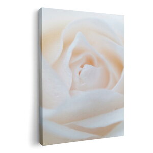 �A�[�g�p�l�� �G �G�� ���� �I�ׂ�T�C�Y 210×148 mm A5 ���_�� ���� �ʐ^ �t�H�g �C���e���A ������� 005080 ���@�K�N�@�ʐ^