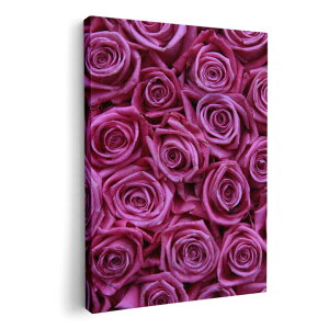 A[gpl G G  IׂTCY 210×148 mm A5 _  ʐ^ tHg CeA  005129 KN@@ʐ^