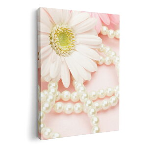 A[gpl G G  IׂTCY 210×148 mm A5 _  ʐ^ tHg CeA  005148 ԁ@p[@sN