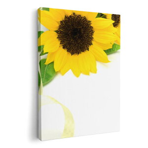 A[gpl G G  IׂTCY 210×148 mm A5 _  ʐ^ tHg CeA  005164 Ђ܂@ʐ^@Vv