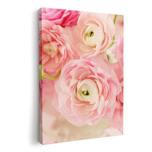 A[gpl G G  IׂTCY 210×148 mm A5 _  ʐ^ tHg CeA  005242 ԁ@{@sN