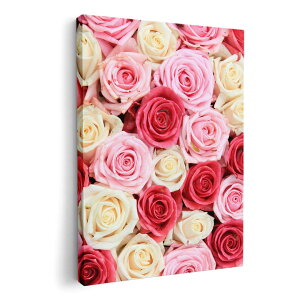 A[gpl G G  IׂTCY 210×148 mm A5 _  ʐ^ tHg CeA  005272 KN@sN@@