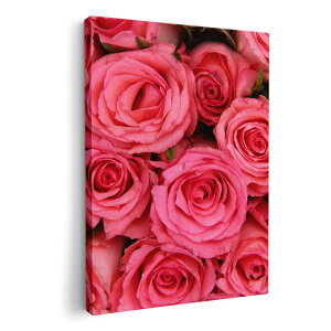 �A�[�g�p�l�� �G �G�� ���� �I�ׂ�T�C�Y 210×148 mm A5 ���_�� ���� �ʐ^ �t�H�g �C���e���A ������� 005315 �ԁ@�K�N�@�s���N