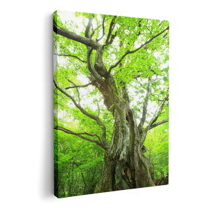 A[gpl G G  IׂTCY 210×148 mm A5 _  ʐ^ tHg CeA  005452 ʐ^@X@A