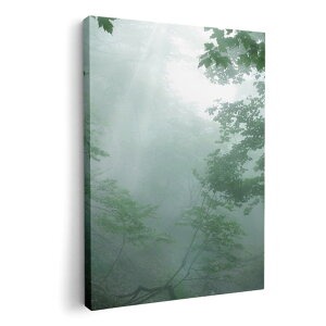 A[gpl G G  IׂTCY 210×148 mm A5 _  ʐ^ tHg CeA  005872 ʐ^@X@