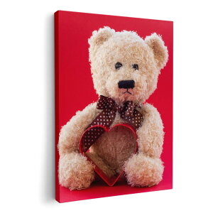 A[gpl G G  IׂTCY 210×148 mm A5 _  ʐ^ tHg CeA  006350 ʐ^@ʂ݁@efBxA