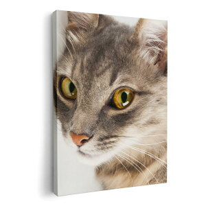 �A�[�g�p�l�� �G �G�� ���� �I�ׂ�T�C�Y 210×148 mm A5 ���_�� ���� �ʐ^ �t�H�g �C���e���A ������� 006477 �ʐ^�@�����@�˂�